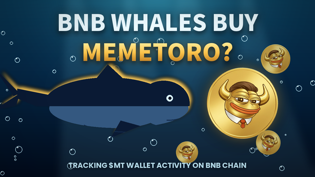 How Do Wallet Limits Work in MemeToro’s Fixed-Rate Funding Round?